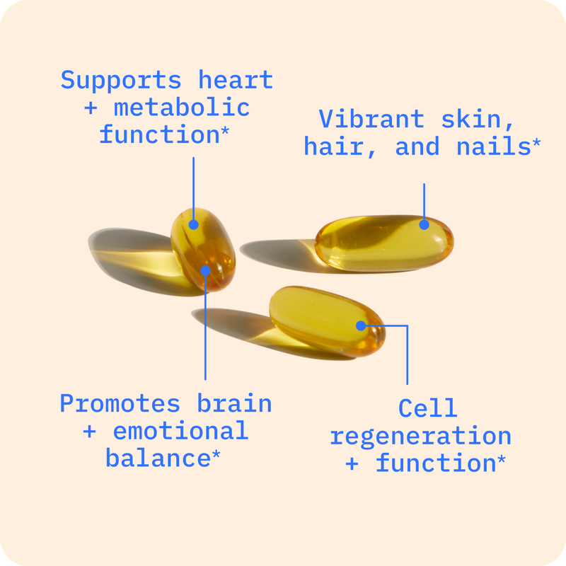 Foundational Bundle image 2