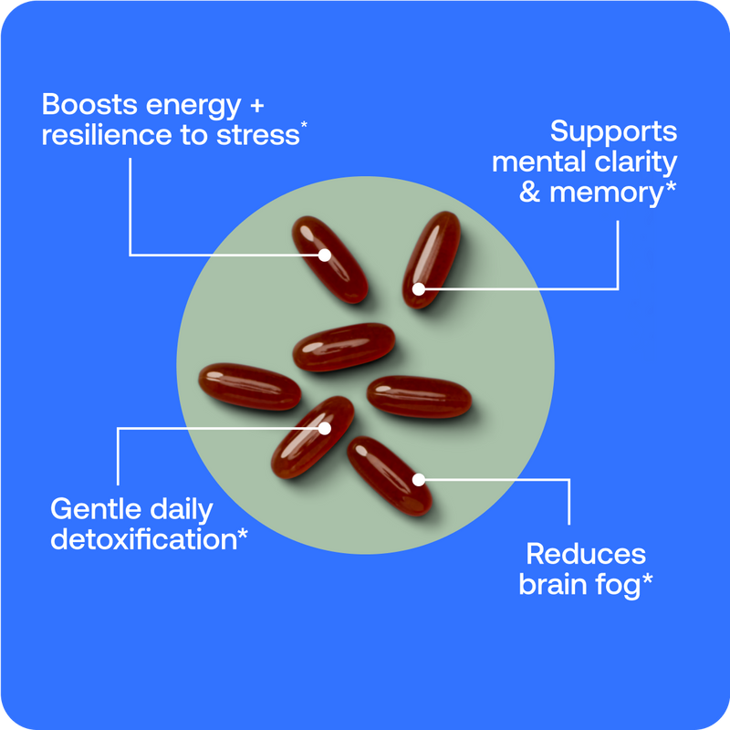 Foundational Bundle image 3